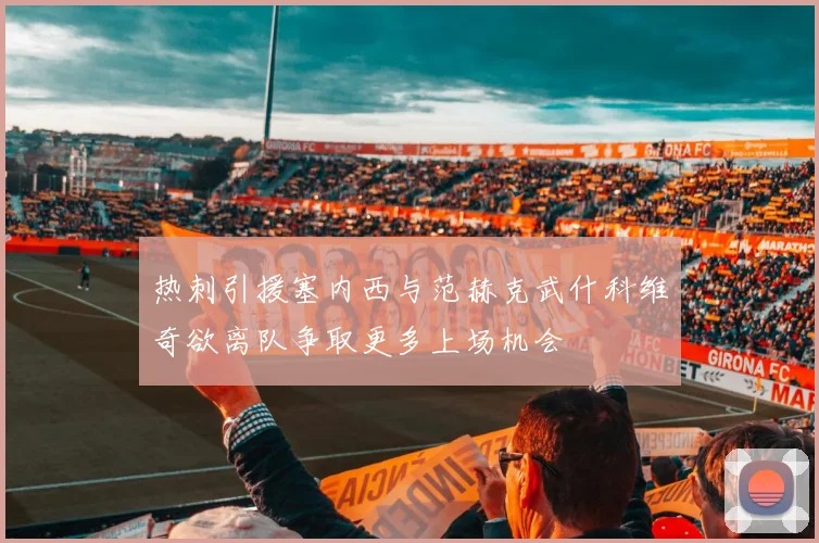 热刺引援塞内西与范赫克武什科维奇欲离队争取更多上场机会